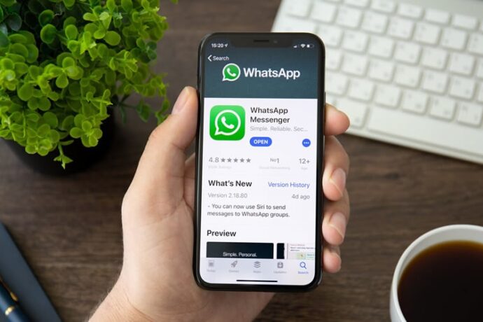 Por que o WhatsApp é tão popular
